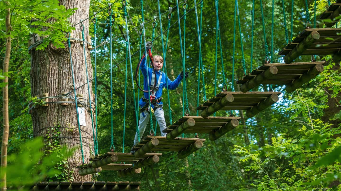 6 Fun Things to Do in South Dublin (That Aren't Escape Rooms)