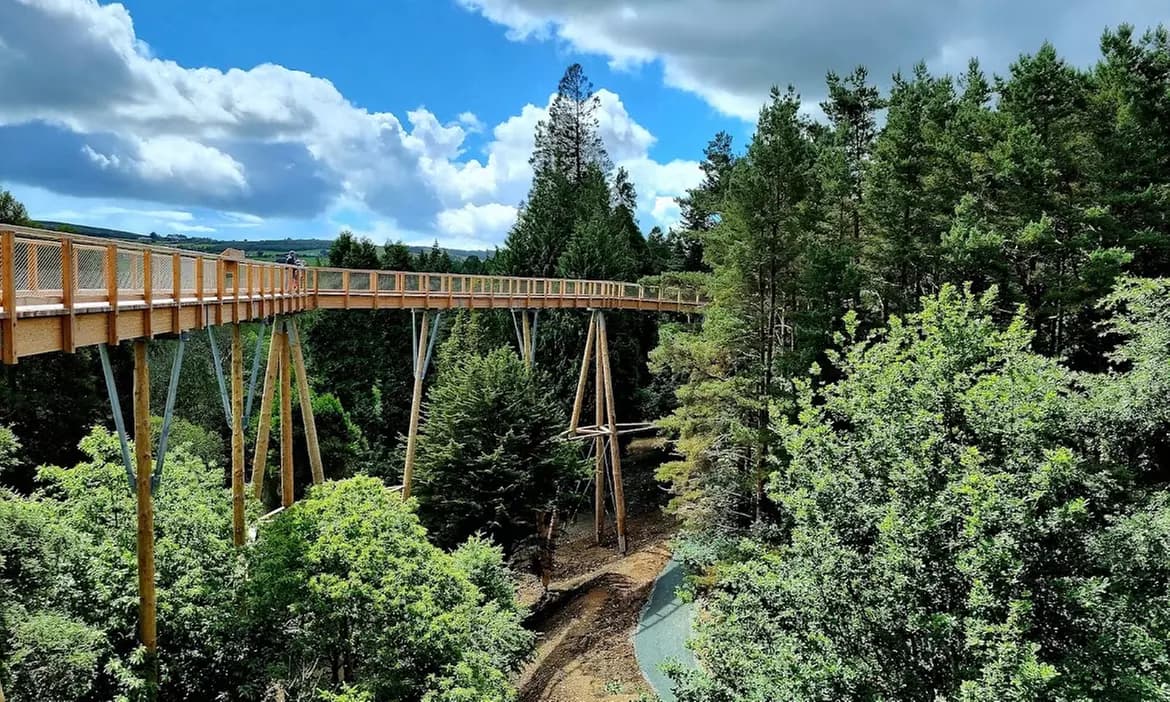 Beyond the Trees Avondale treetop walkway in Wicklow