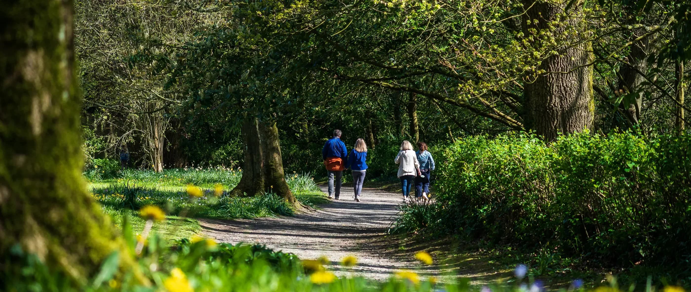 Russborough House, Palladian mansion near Blessington