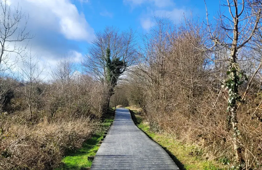 Poulaphouca Falls walk along the River Liffey